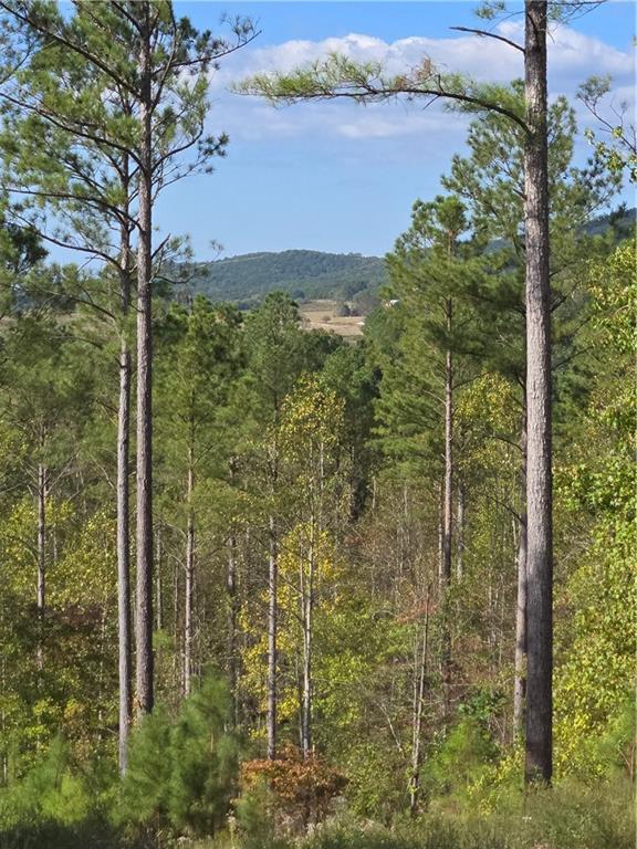 3871 Hwy 140 Ne Rydal Ga 30171 Northeast Rydal, GA 30171 - Photo 2 of 12 a view of a lake from a yard