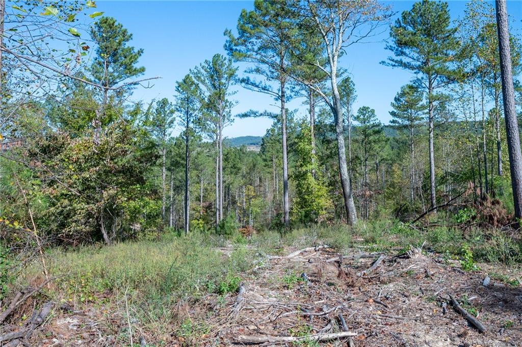 3871 Hwy 140 Ne Rydal Ga 30171 Northeast Rydal, GA 30171 - Photo 5 of 12 a view of a forest