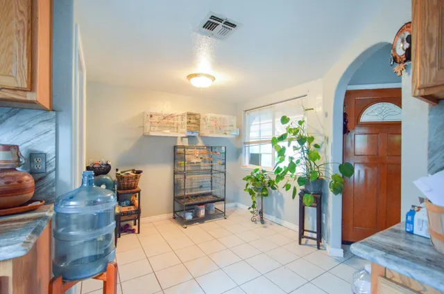 a potted plant sitting in front of a window