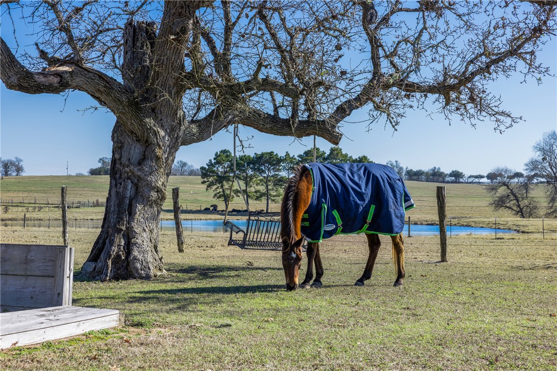 3151 Running River Lane Washington, TX 77880 - Photo 9 of 47
