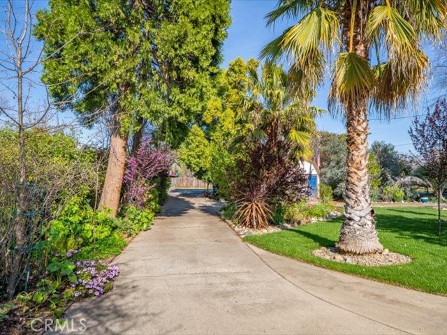 195 Howell Avenue Red Bluff, CA 96080 - Photo 37 of 67 a view of a garden with a palm trees