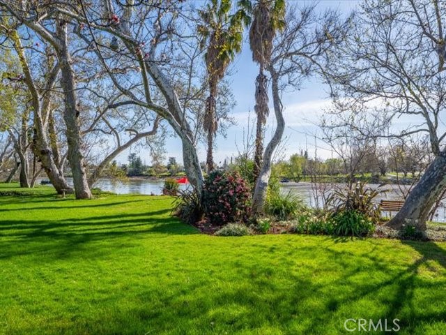 195 Howell Avenue Red Bluff, CA 96080 - Photo 48 of 67 a view of a garden with trees