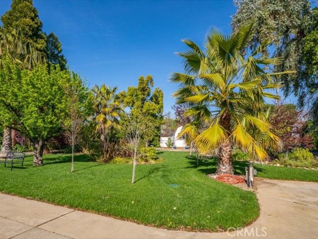 195 Howell Avenue Red Bluff, CA 96080 - Photo 55 of 67 a backyard of a house with lots of green space