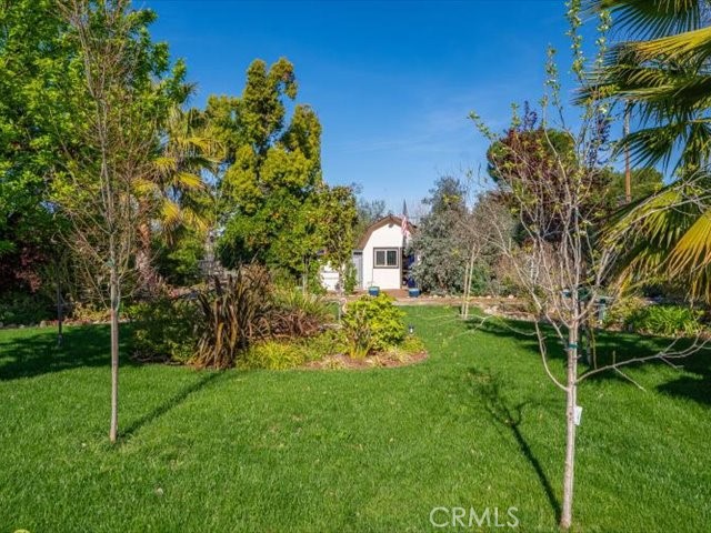 195 Howell Avenue Red Bluff, CA 96080 - Photo 56 of 67 a view of a yard with plants and trees