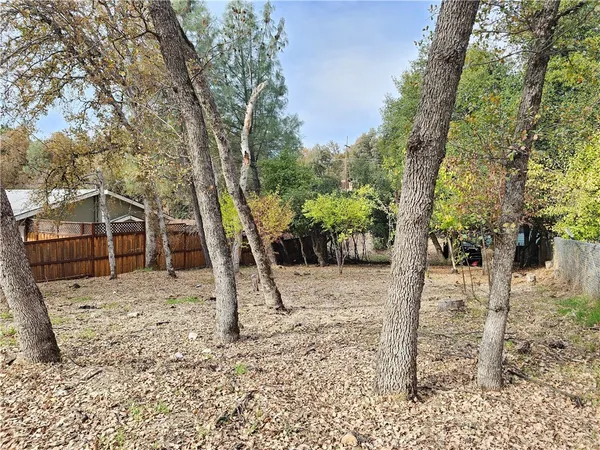 a view of a yard with plants and trees