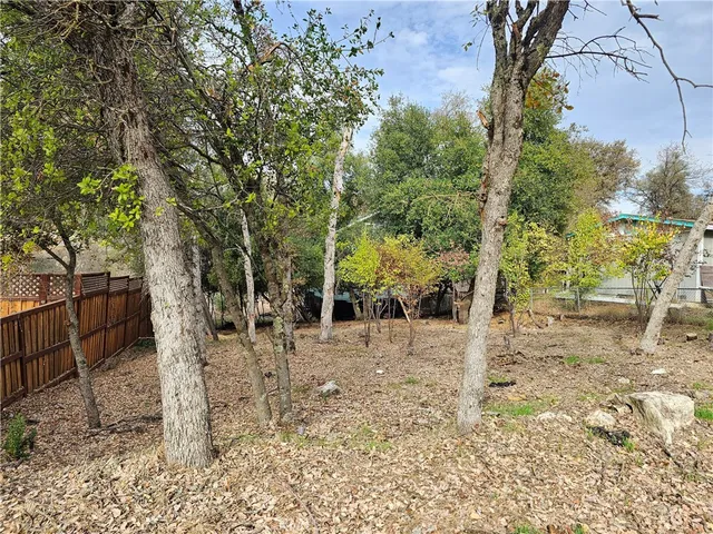 a view of a backyard with a tree