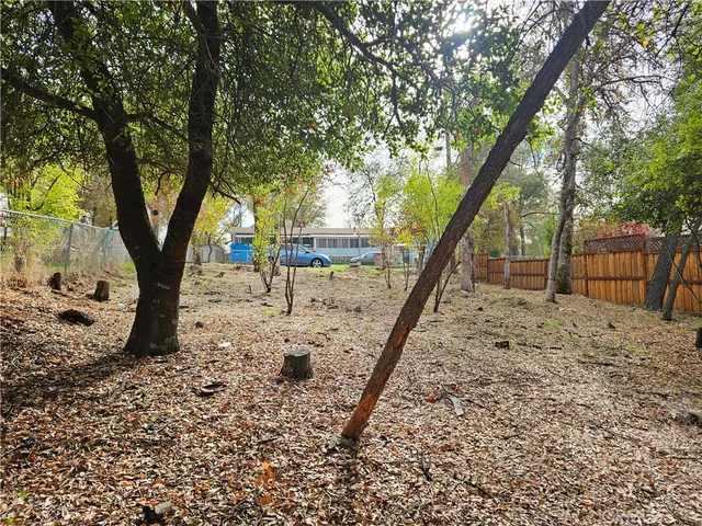 a view of yard with trees