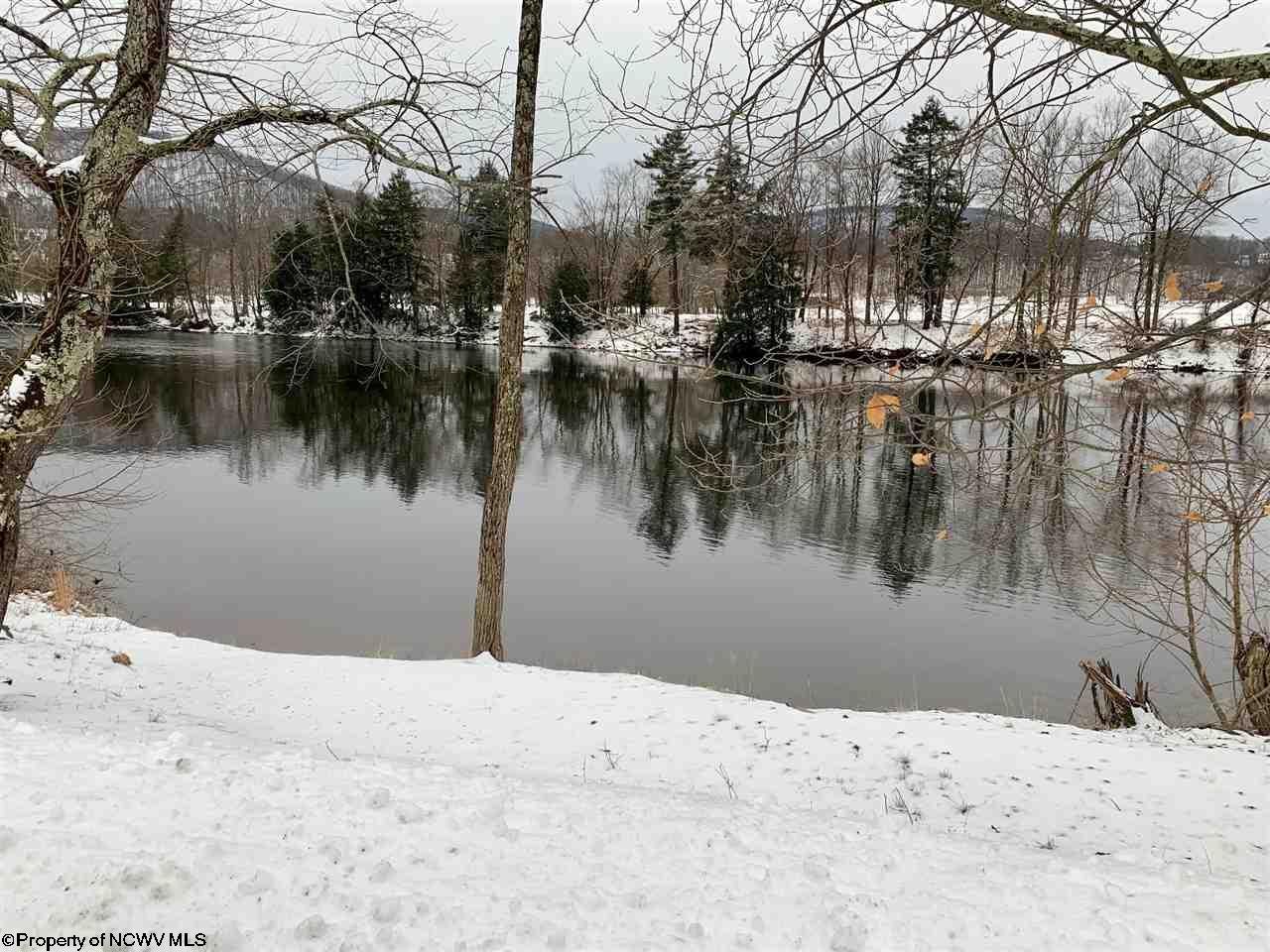 972 River Bend Estate Road Parsons, WV 26287 - Photo 4 of 28 Gallery Image 4