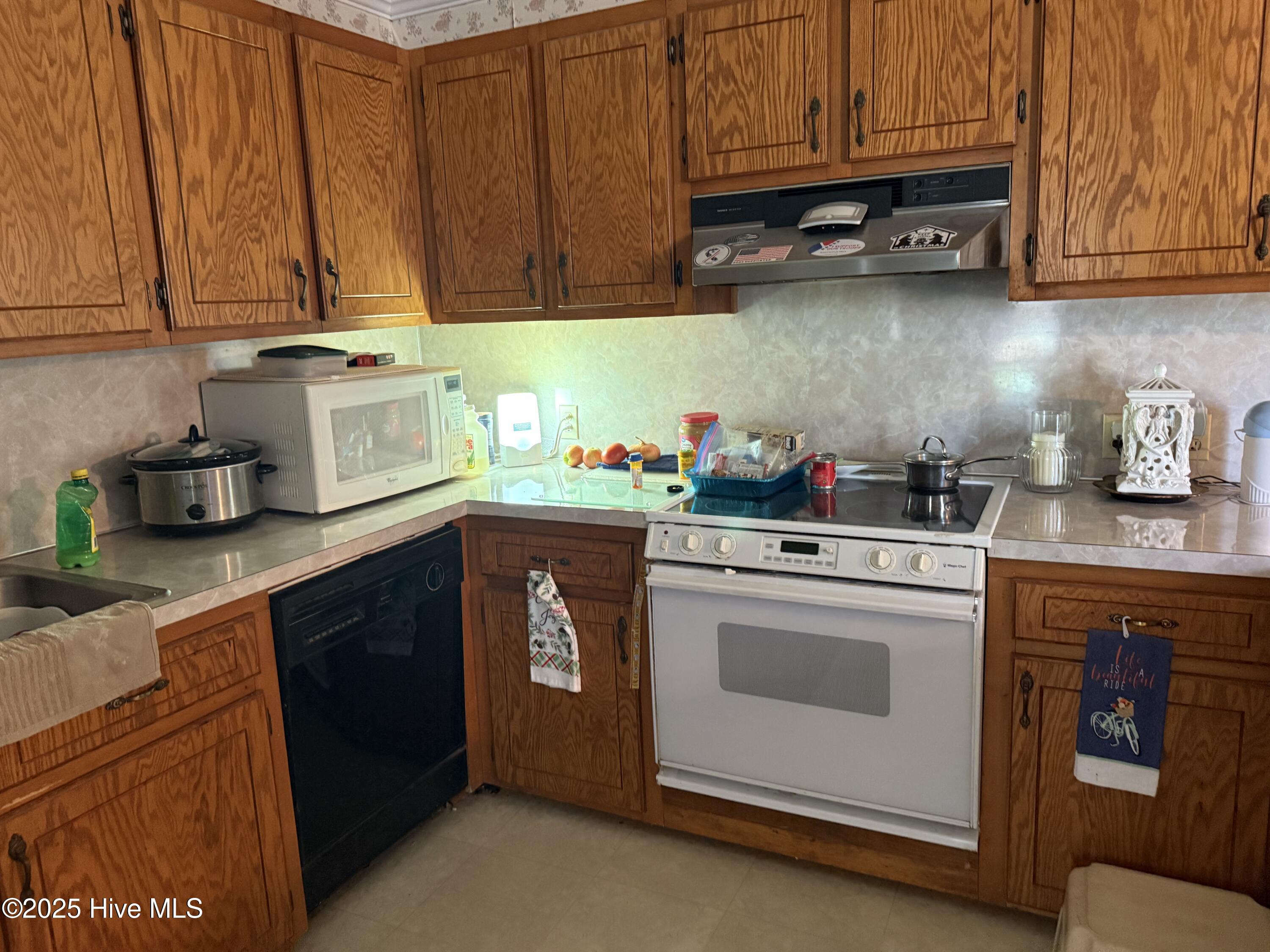 161 Loop Road Chocowinity, NC 27817 - Photo 6 of 11 Kitchen