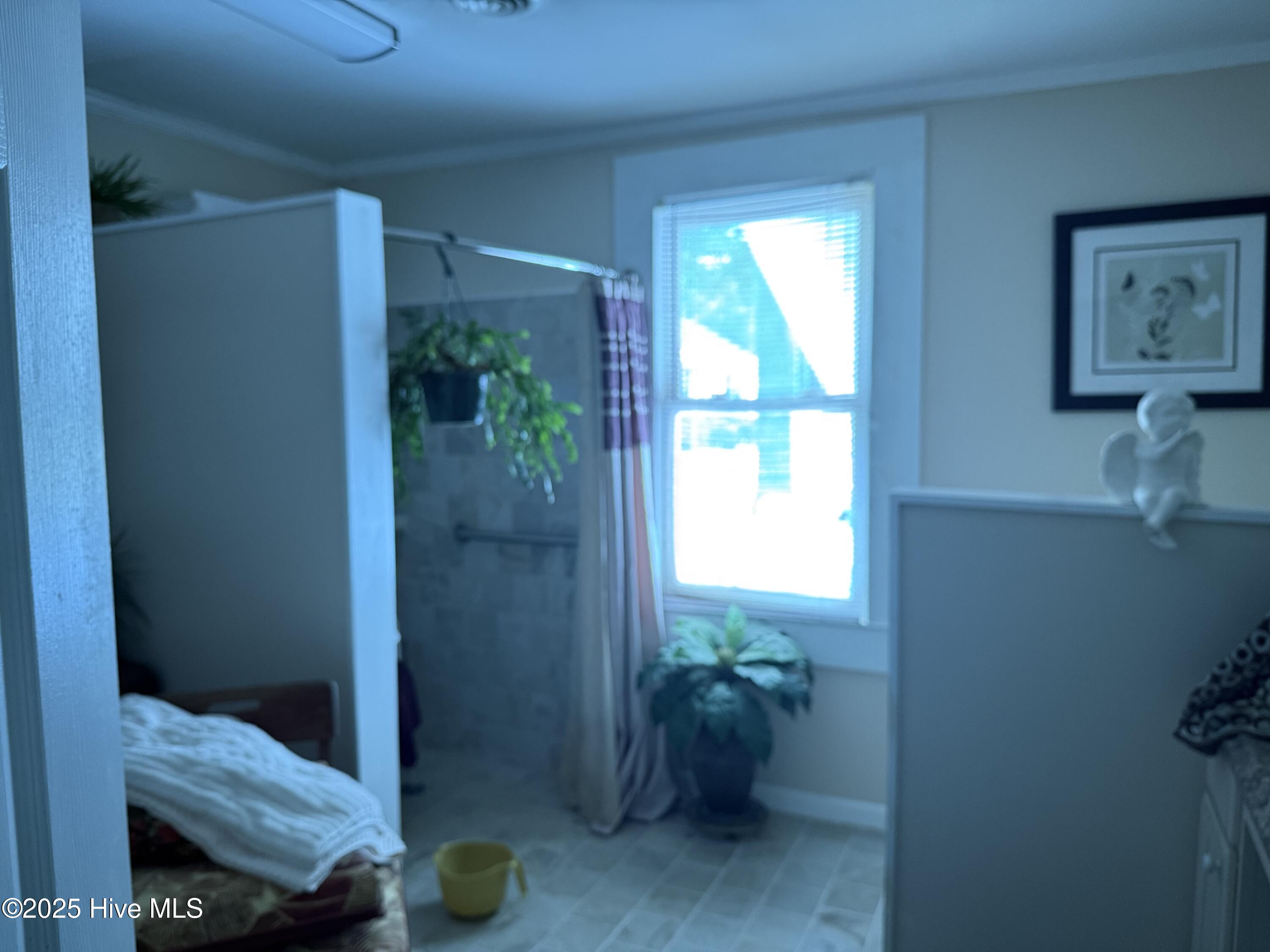 161 Loop Road Chocowinity, NC 27817 - Photo 9 of 11 Bath-Walk in