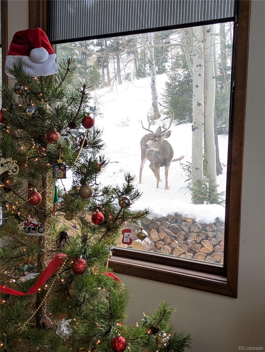 2080 Santa Fe Mountain Road Evergreen, CO 80439 - Photo 49 of 50