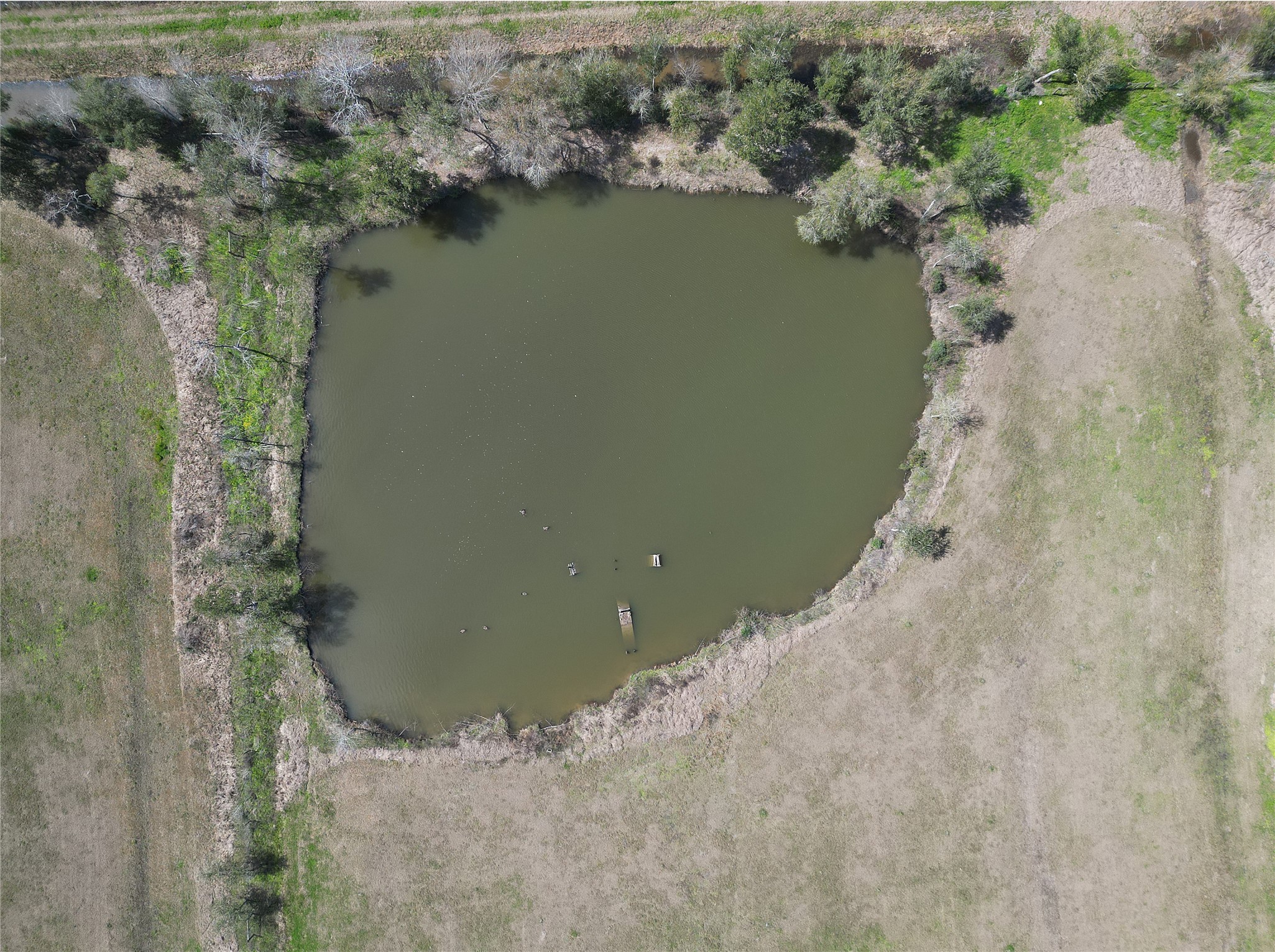 3080 South Pine Island Road Beaumont, TX 77713 - Photo 7 of 7 a view of a lake in a forest