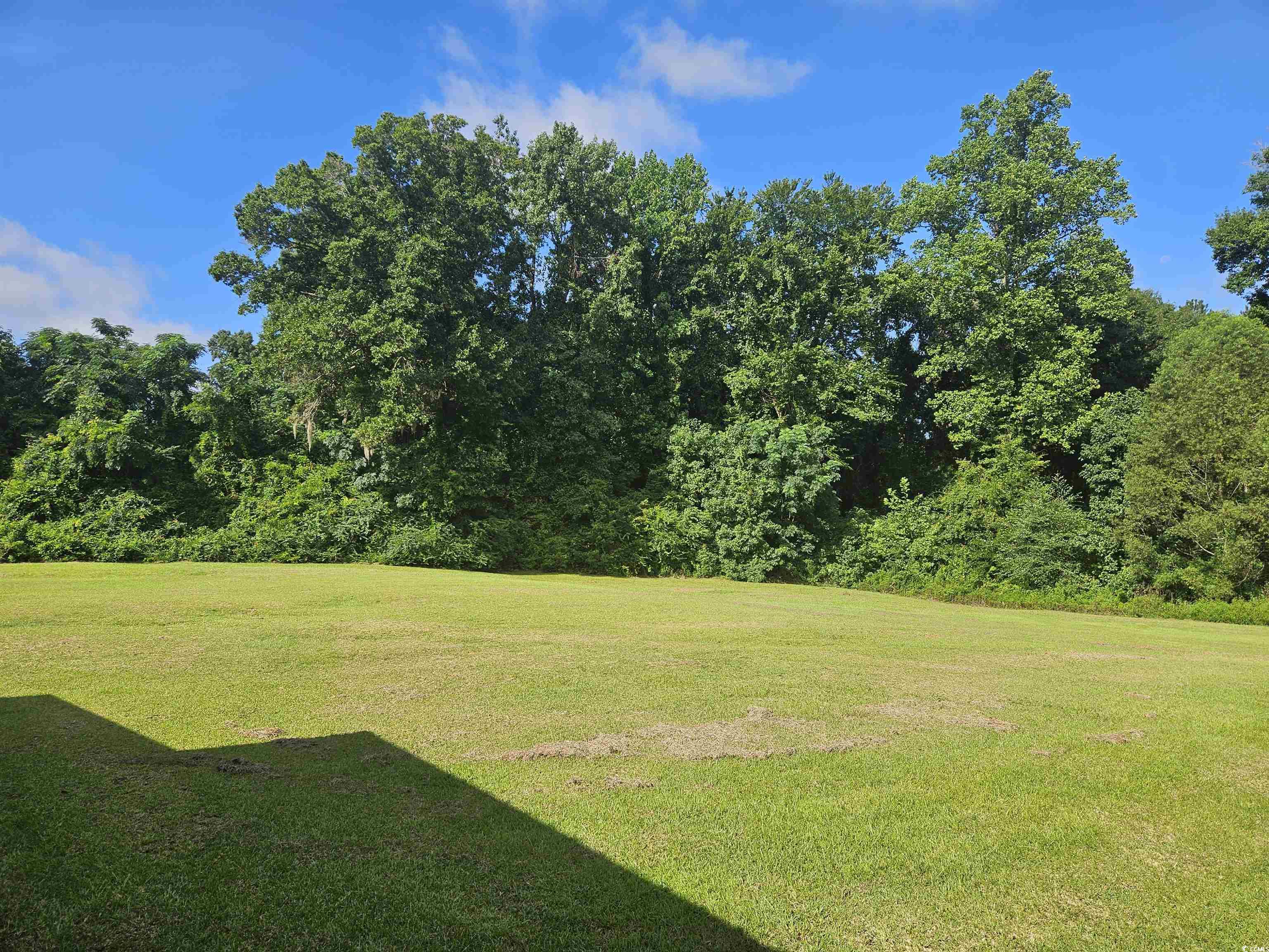 115 Roberts Lane Salters, SC 29590 - Photo 13 of 14 View of grassy yard