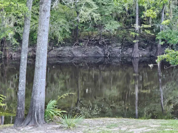 $229,000 | 115 Roberts Lane, Salters, SC 29590