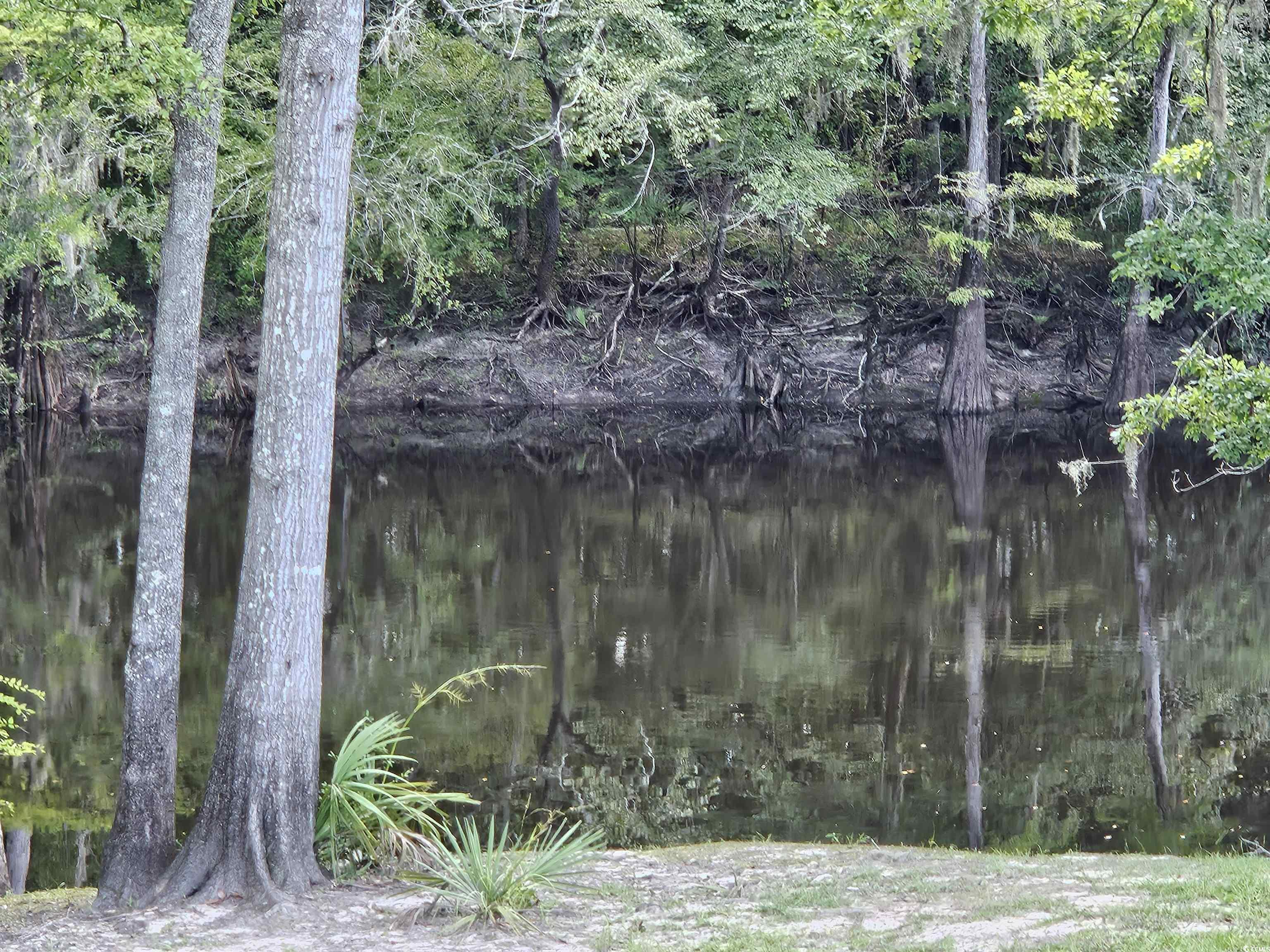 115 Roberts Lane Salters, SC 29590 - Photo 14 of 14 Water view with a heavily wooded area