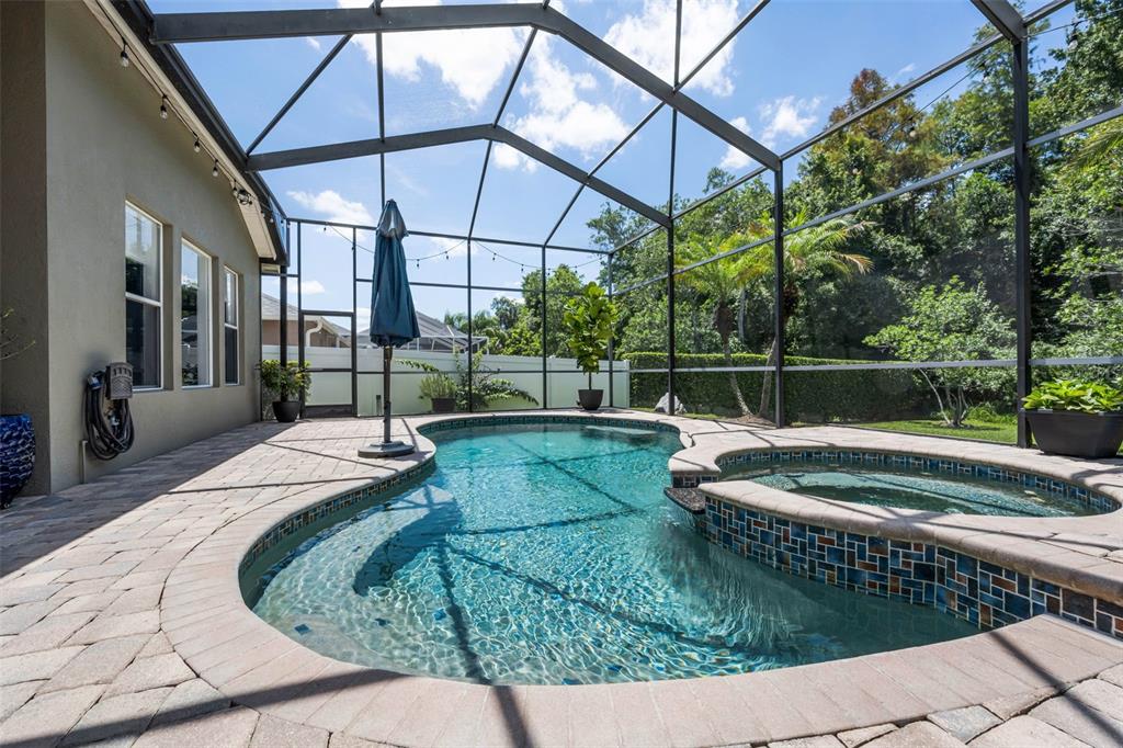 16207 Rambling Road Odessa, FL 33556 - Photo 42 of 76