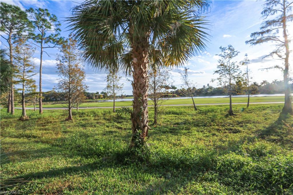 3930 Deer Crossing Court, Unit 3103 Naples, FL 34114 - Photo 16 of 50 a view of a yard with a palm tree
