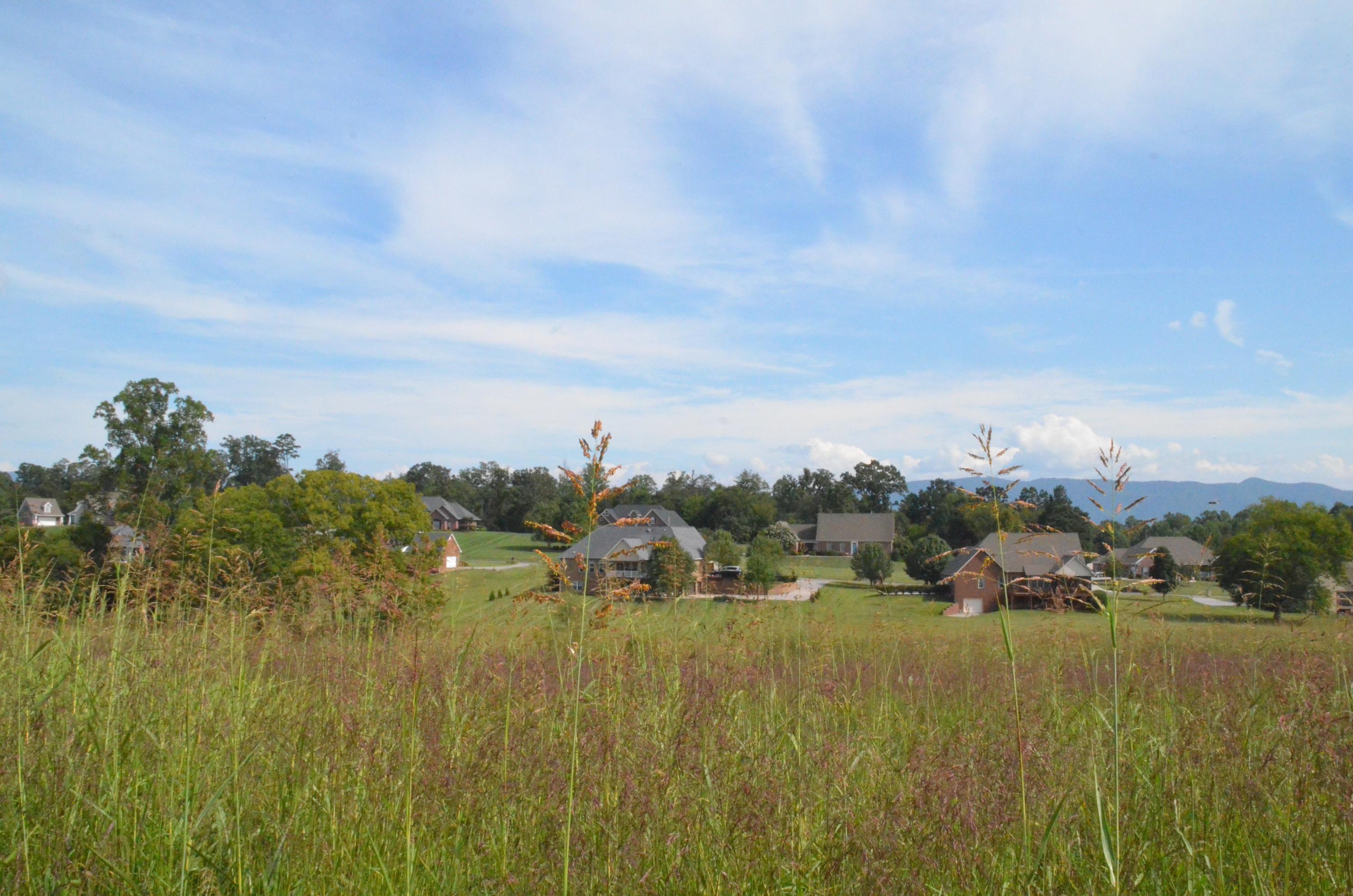 5347 Rodeo Ridge Lane Seymour, TN 37865 - Photo 8 of 8 DSC_7870