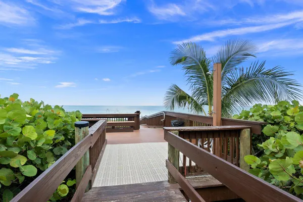 a view of balcony with wooden floor and potted plant