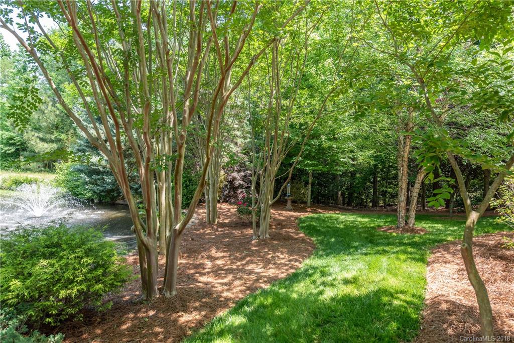 904 Ashford Way, Unit 2 Fort Mill, SC 29708 - Photo 21 of 24 a view of backyard with green space