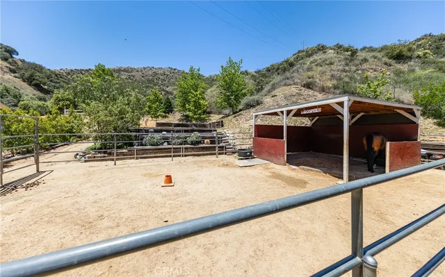 a view of a park with large trees