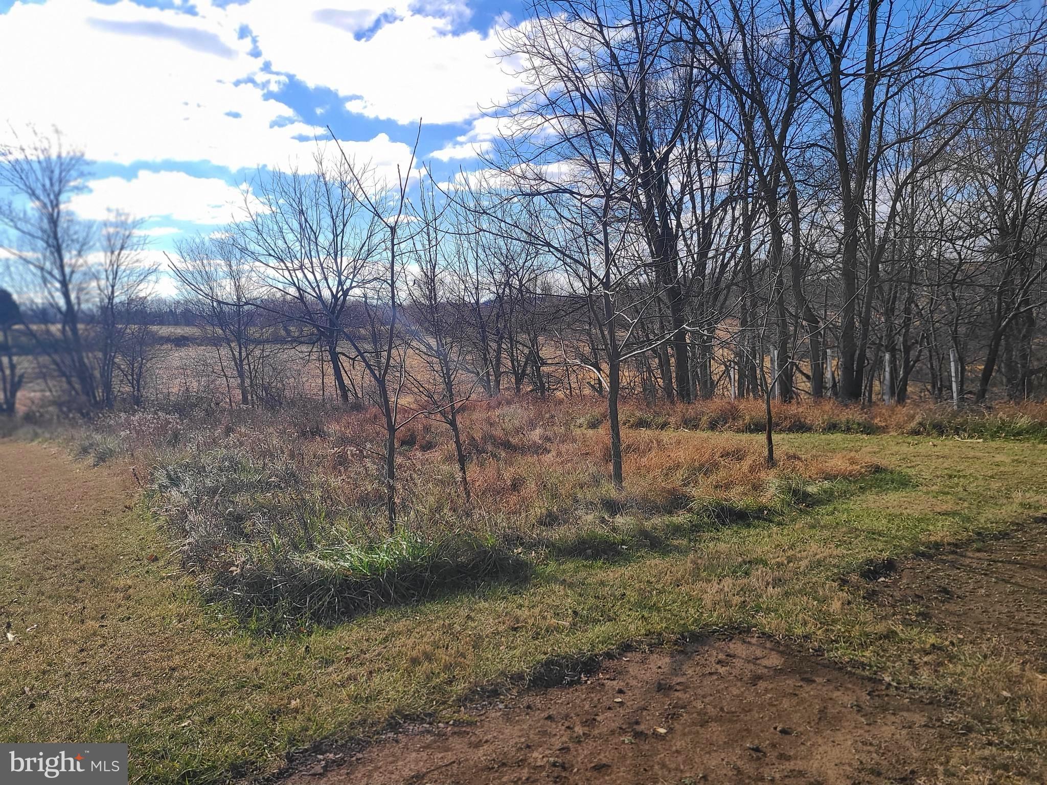 2800 Sykesville Road Westminster, MD 21157 - Photo 12 of 26 a view of outdoor space with trees