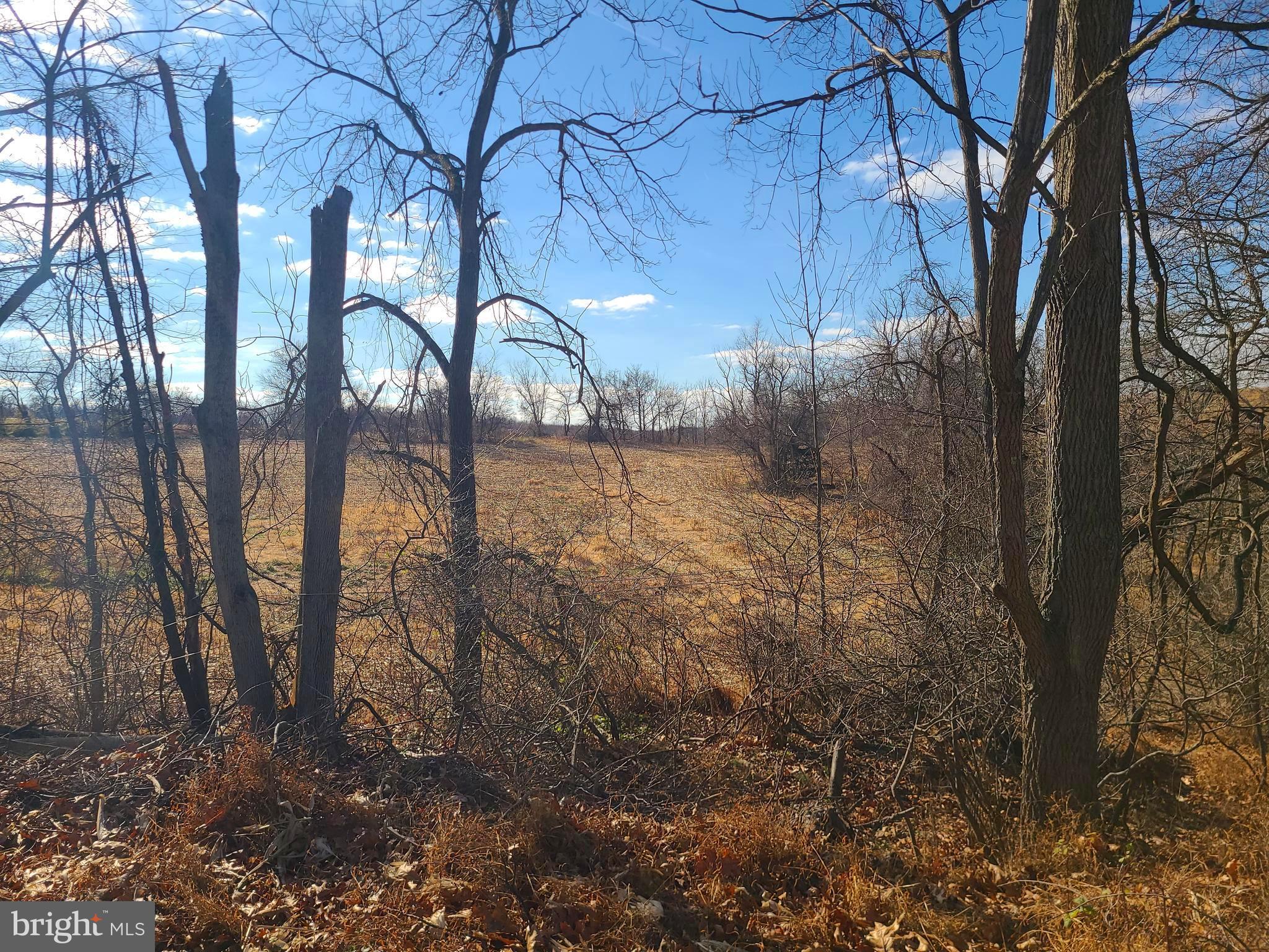 2800 Sykesville Road Westminster, MD 21157 - Photo 14 of 26 a backyard of a house with lots of green space