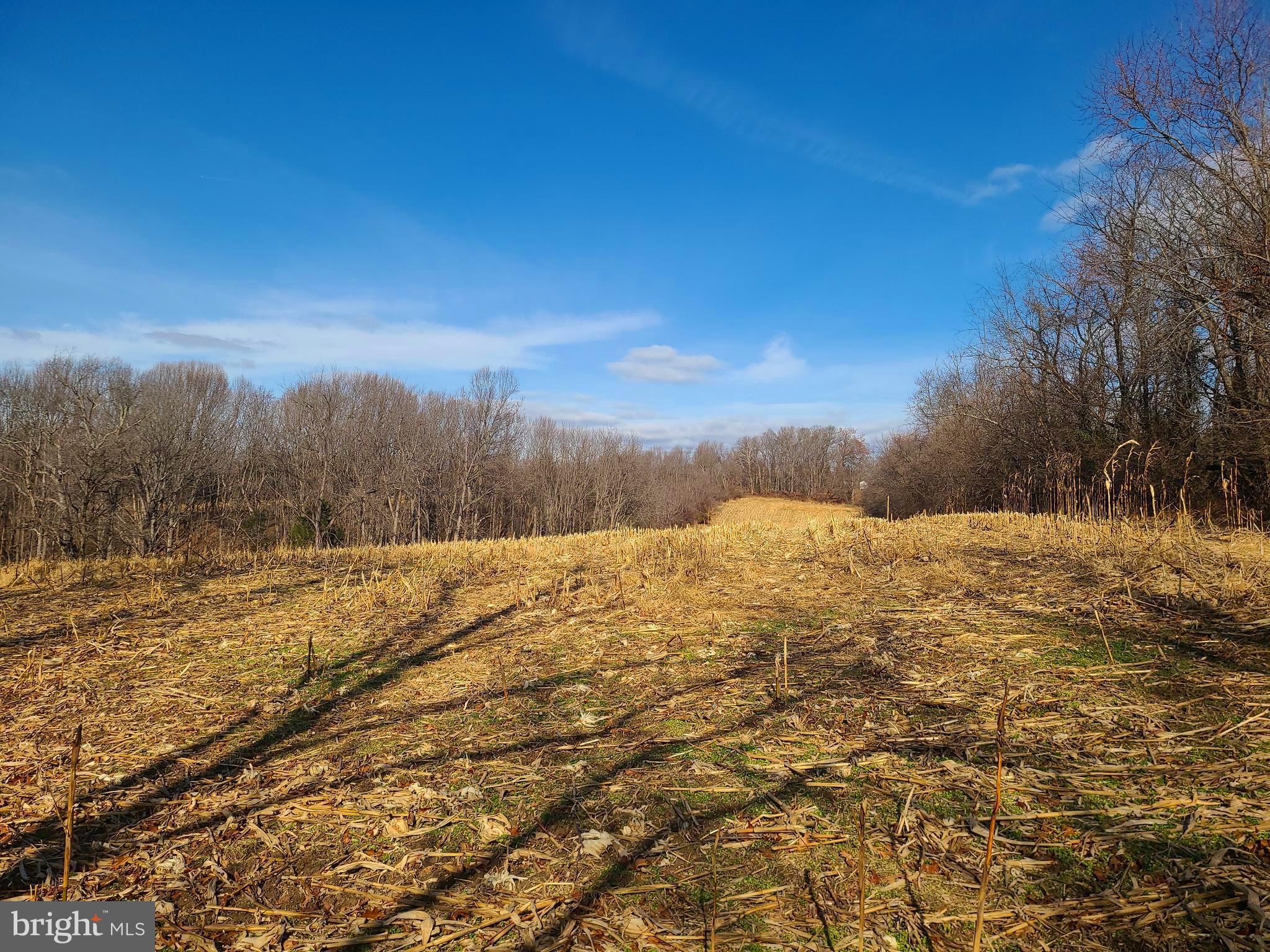2800 Sykesville Road Westminster, MD 21157 - Photo 15 of 26 a view of a yard