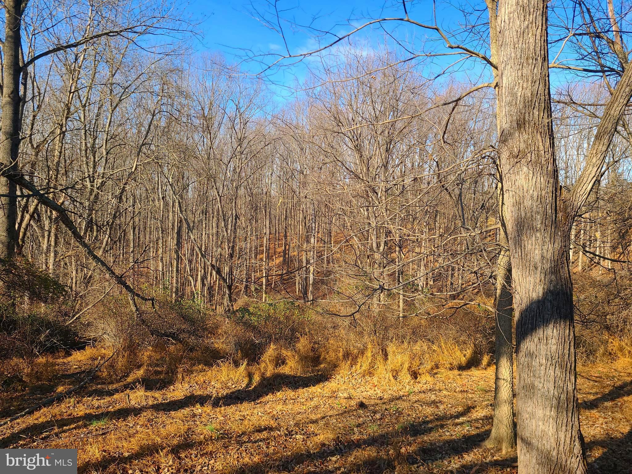 2800 Sykesville Road Westminster, MD 21157 - Photo 17 of 26 a view of a backyard of the house