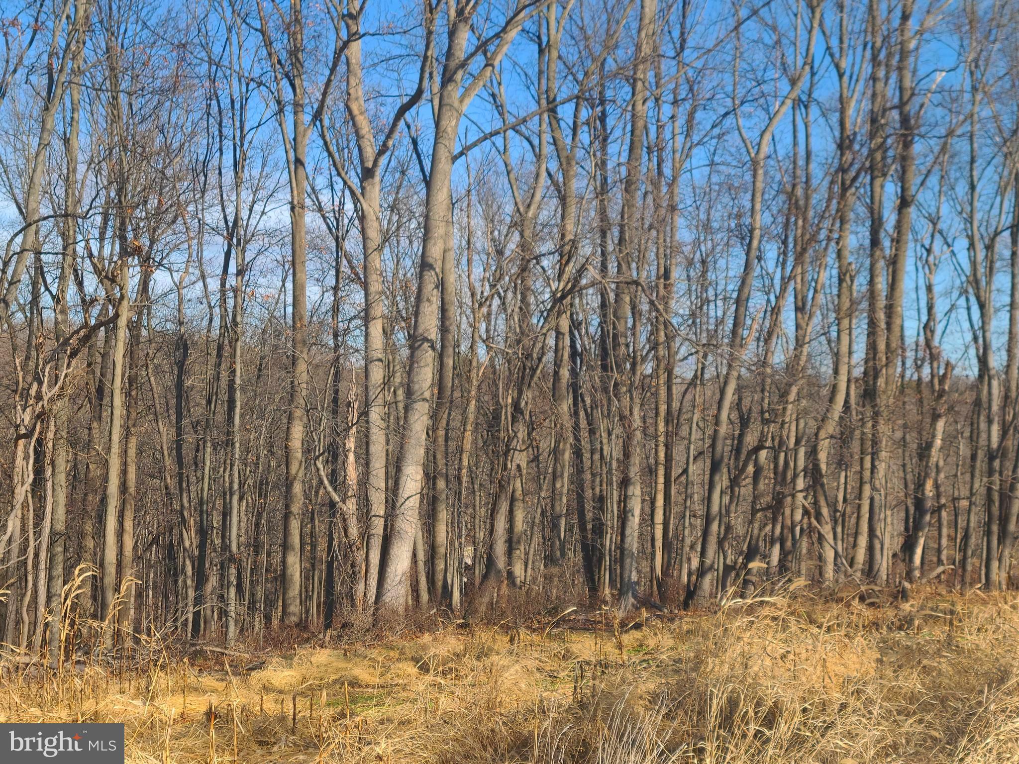 2800 Sykesville Road Westminster, MD 21157 - Photo 25 of 26 a view of wooden fence