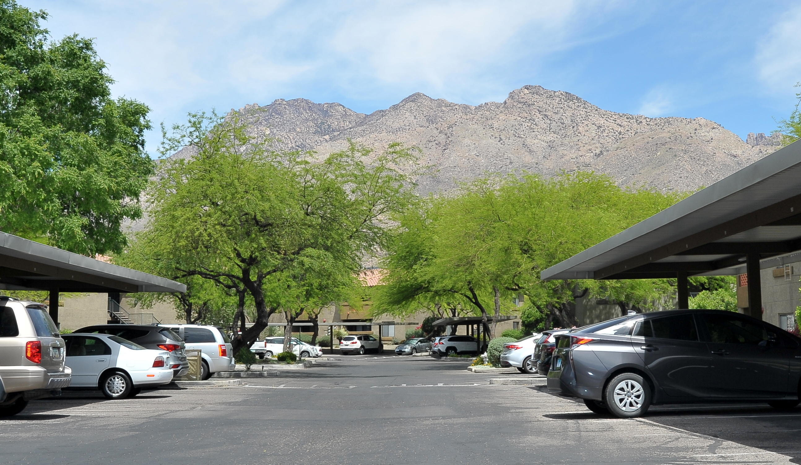 5751 North Kolb Road, Unit 9207 Tucson, AZ 85750 - Photo 34 of 36