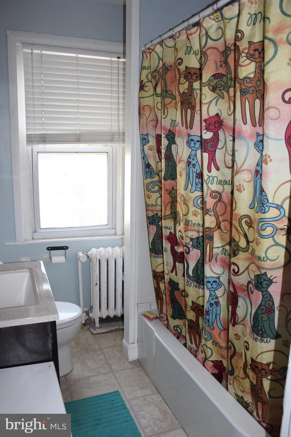 218 Ripka Street Philadelphia, PA 19127 - Photo 34 of 36