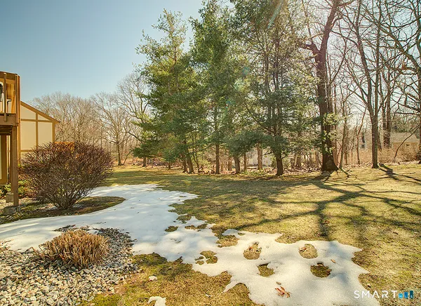 a view of yard with trees