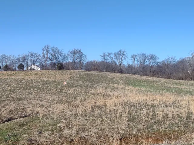 a view of dirt field with trees in background