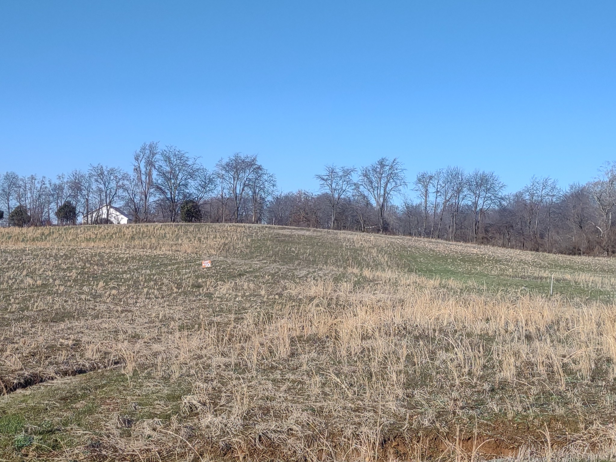 a view of dirt field with trees in background
