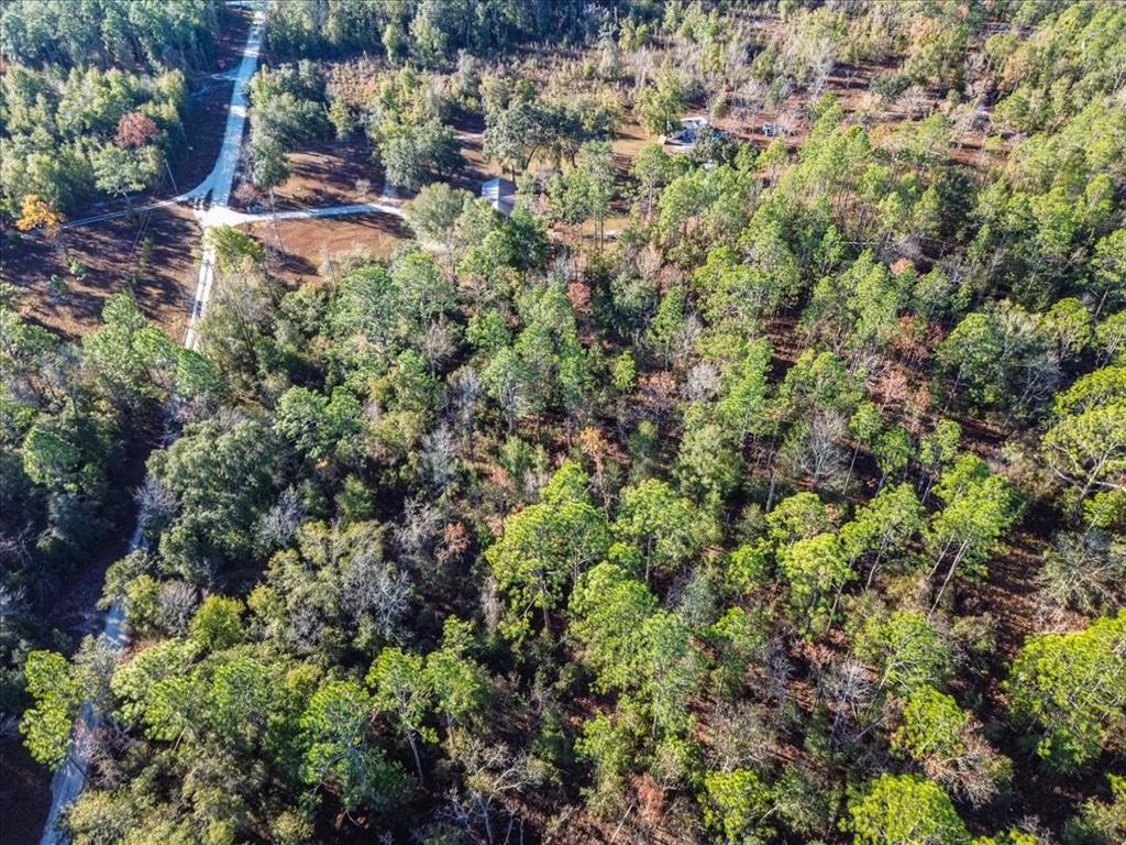 103rd Drive O'Brien, FL 32071 - Photo 13 of 20 a view of a house with a lush green forest