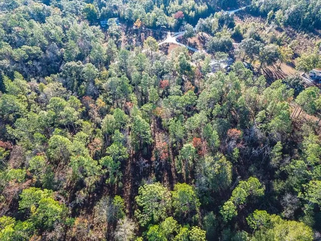 a view of a city with lush green forest