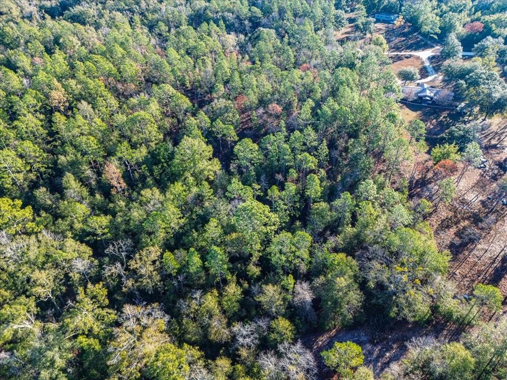 103rd Drive O'Brien, FL 32071 - Photo 15 of 20 a view of a house with a tree