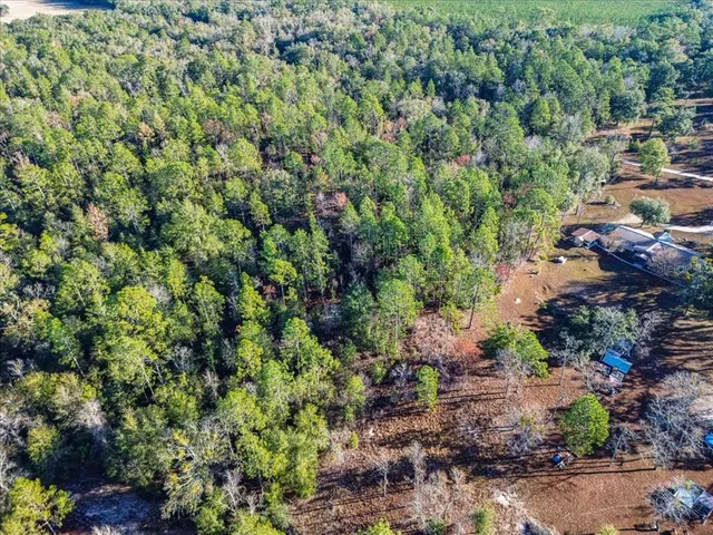 a view of a large yard with lots of plants