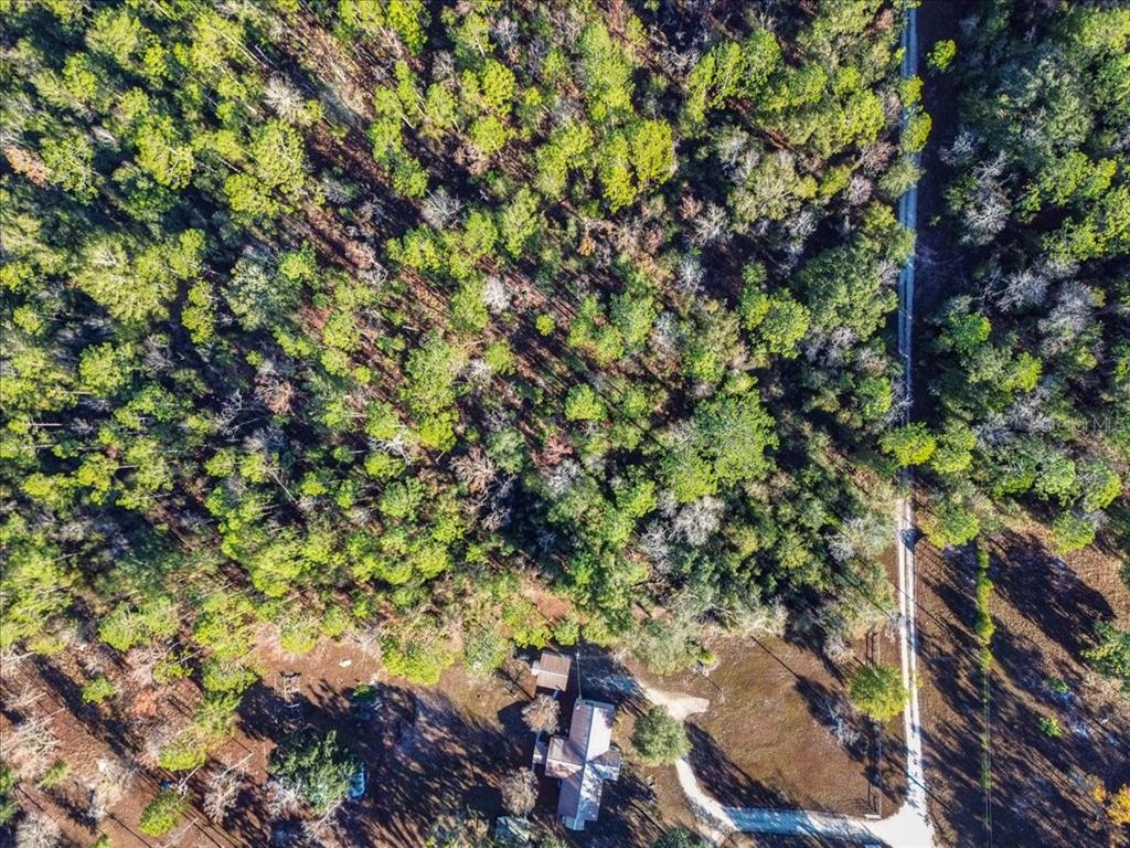 103rd Drive O'Brien, FL 32071 - Photo 20 of 20 a view of a tree