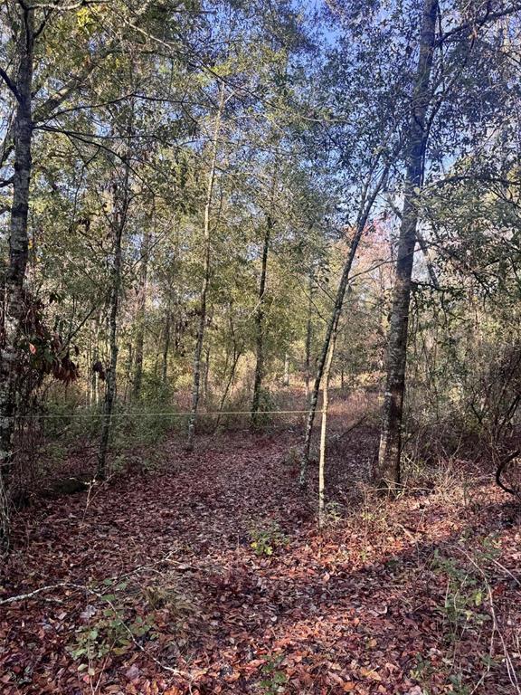 103rd Drive O'Brien, FL 32071 - Photo 8 of 20 a backyard of a house with lots of green space