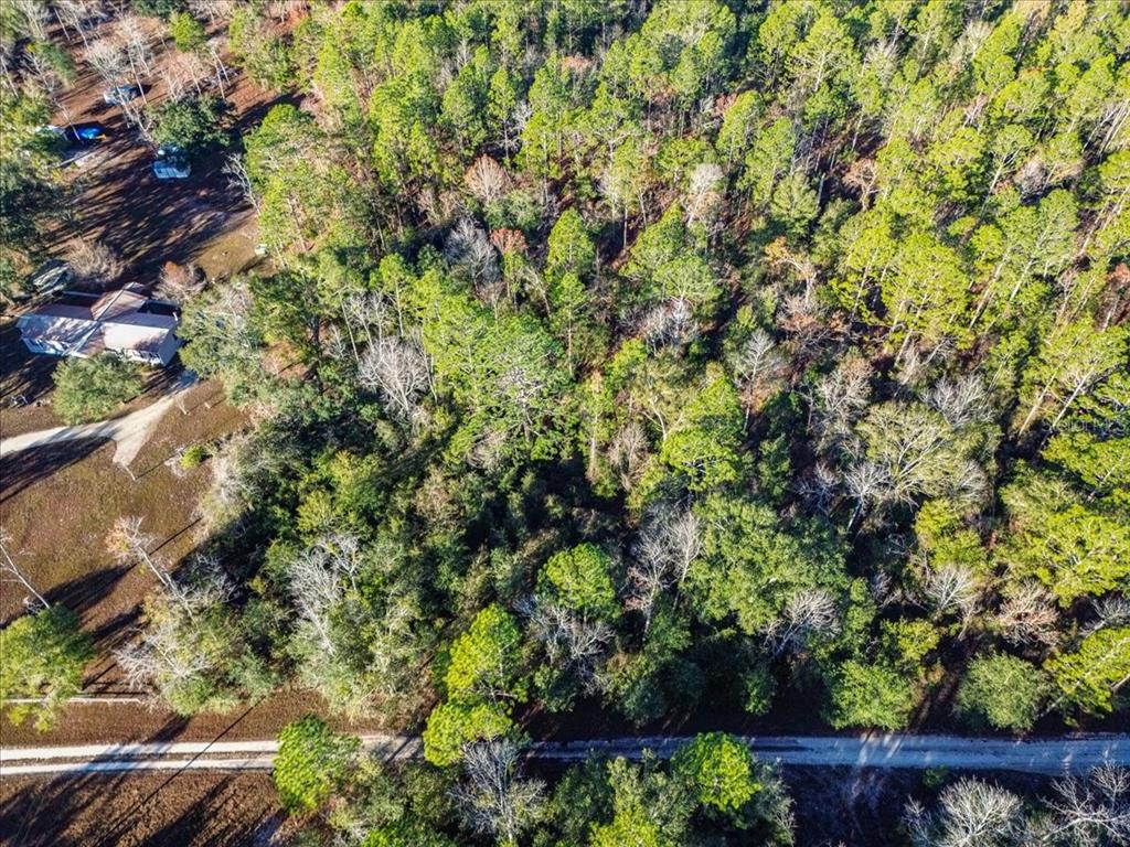 103rd Drive O'Brien, FL 32071 - Photo 10 of 20 a view of a yard with plants and wooden fence