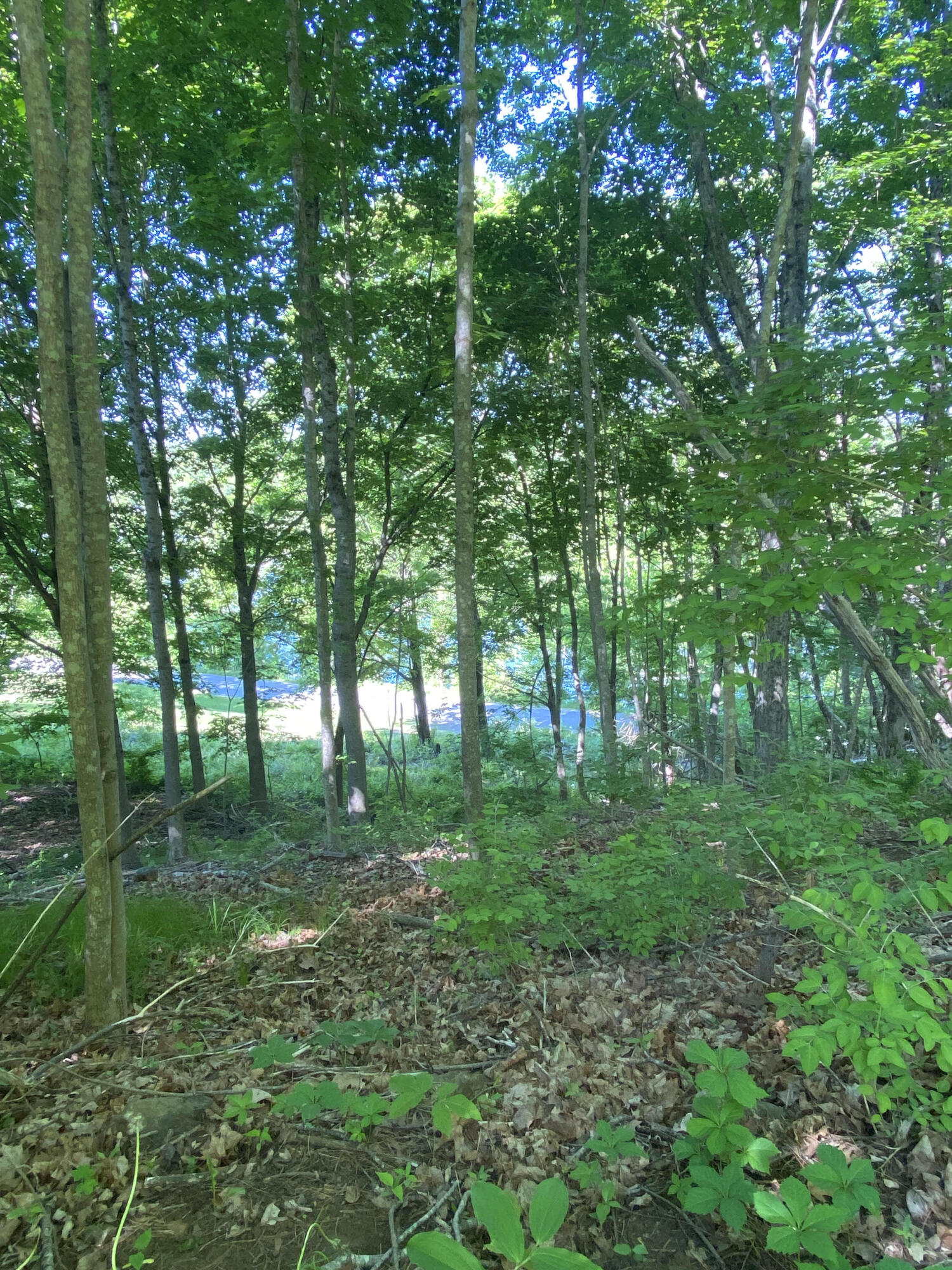 164 High Street Warren, ME 04864 - Photo 26 of 29 unnamed (7)