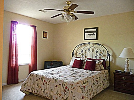 7437 Cotton Patch Road Corryton, TN 37721 - Photo 19 of 33 Additional Photo