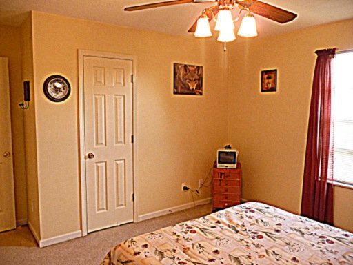 7437 Cotton Patch Road Corryton, TN 37721 - Photo 21 of 33 Additional Photo