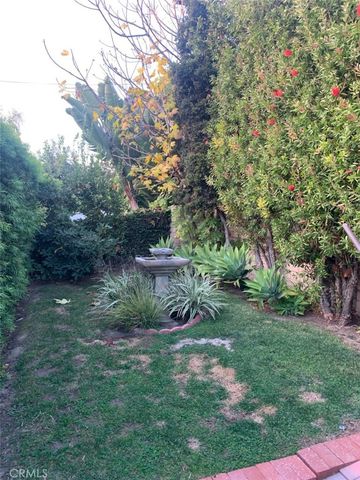 a view of a garden with a tree