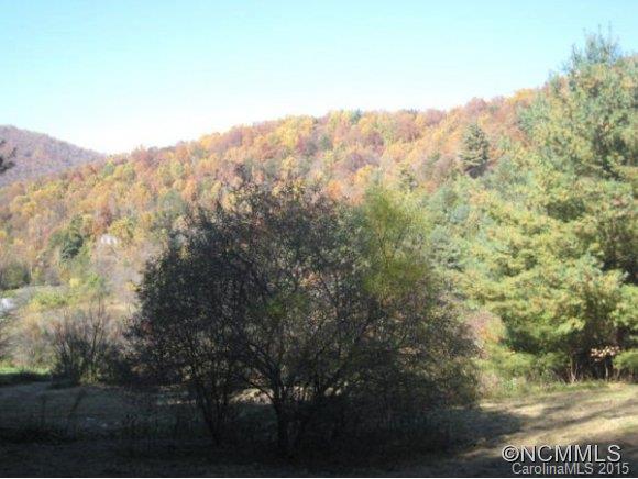 Lot 1 Rice Branch Road Asheville, NC 28804 - Photo 12 of 15 Gallery Image 12