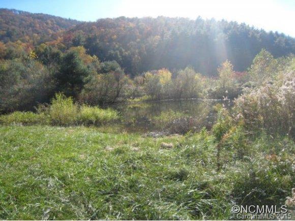 Lot 1 Rice Branch Road Asheville, NC 28804 - Photo 15 of 15 Gallery Image 15