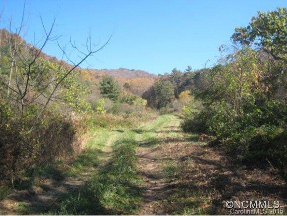 Lot 1 Rice Branch Road Asheville, NC 28804 - Photo 5 of 15 Gallery Image 5