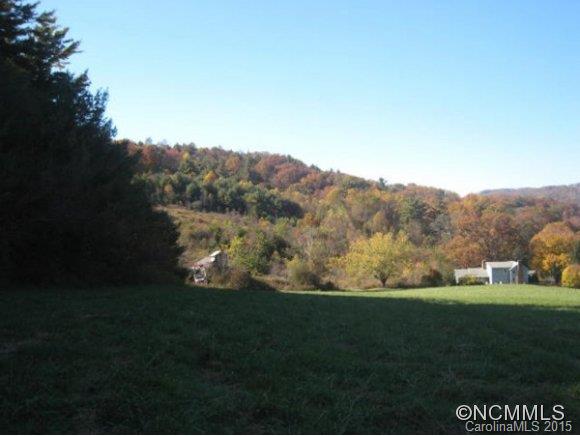 Lot 1 Rice Branch Road Asheville, NC 28804 - Photo 7 of 15 Gallery Image 7